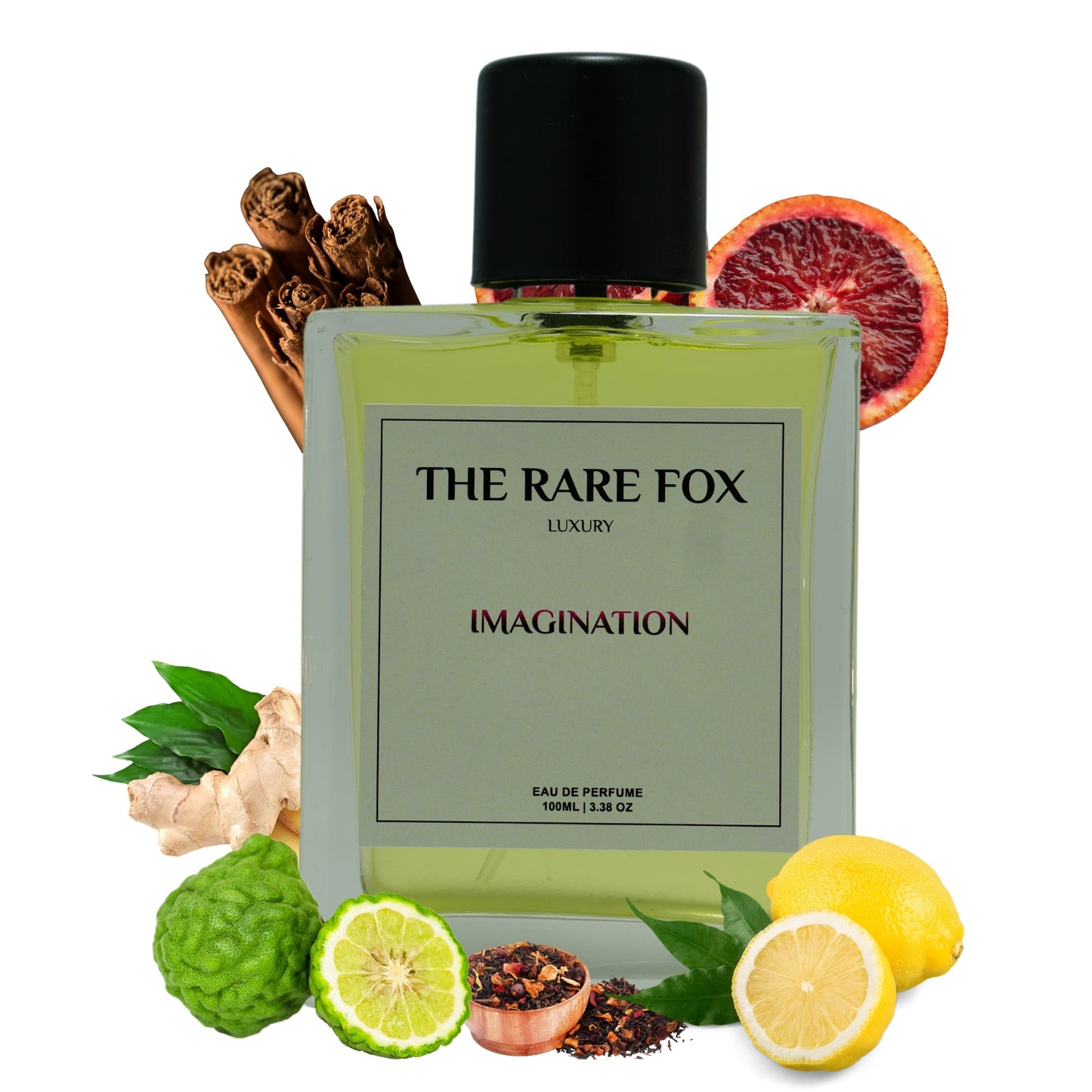 The Rare Fox IMAGINATION for Men Eau de Parfum – Fresh, Bold, and Captivating Fragrance | 50 ML/ 100 ML