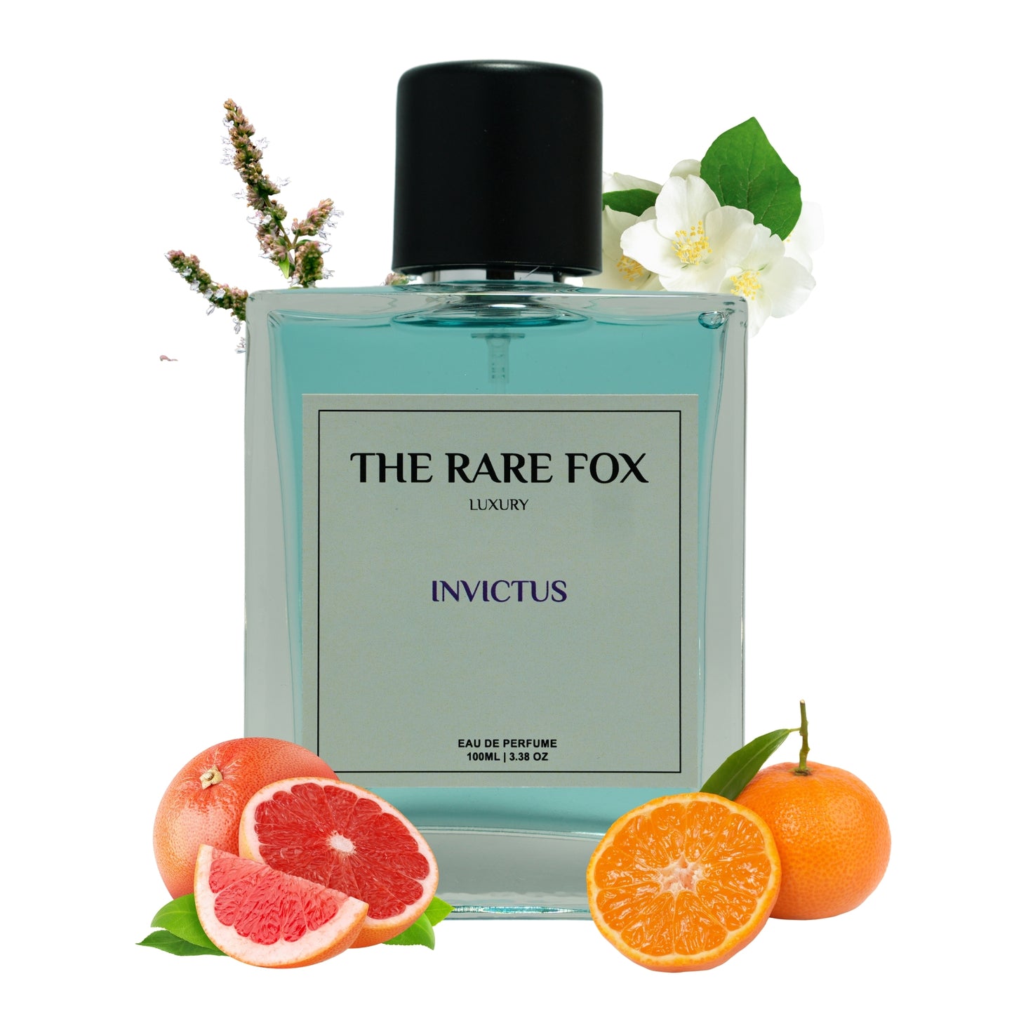 The Rare Fox INVICTUS | Premium Masculine Perfume | Invincible, Fresh & Long-Lasting Eau de Parfum | 50 ML/ 100 ML