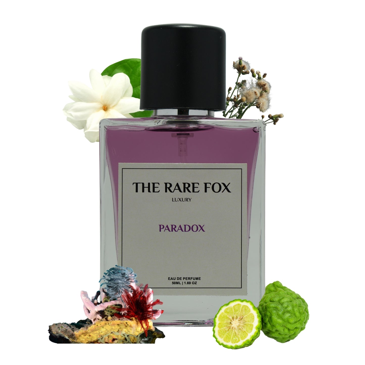 The Rare Fox PARADOX Eau de Parfum | Bold, Intriguing & Complex Fragrance for Men & Women | 50 ML/ 100 ML