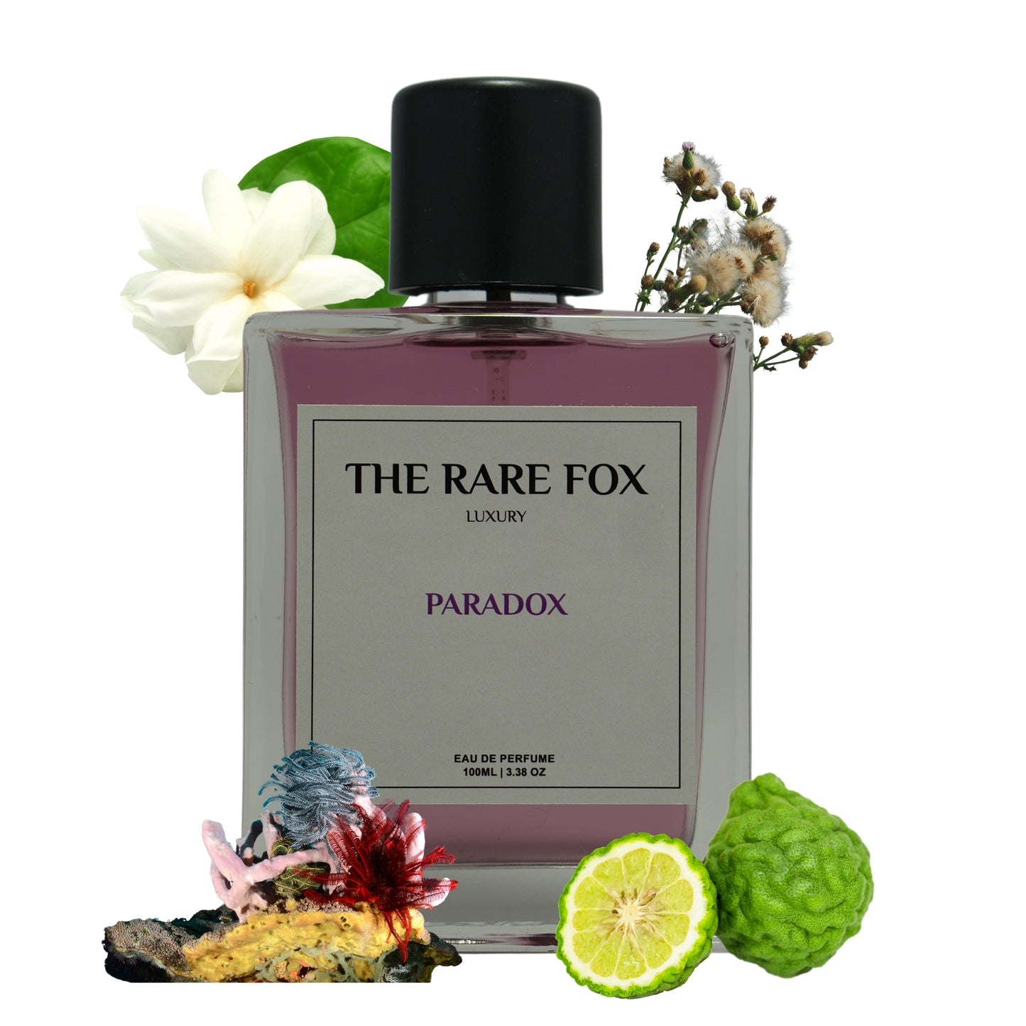 The Rare Fox PARADOX Eau de Parfum | Bold, Intriguing & Complex Fragrance for Men & Women | 50 ML/ 100 ML