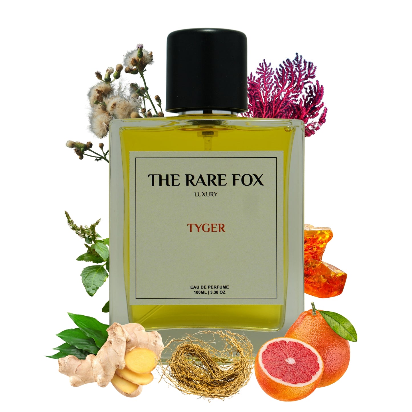 The Rare Fox TYGER Eau de Parfum | Bold, Mysterious & Captivating Fragrance | 50 ML/ 100 ML